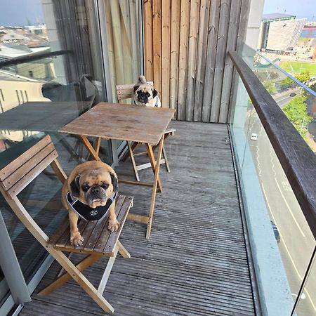 Benji & Milos Apartments Белфаст Екстер'єр фото